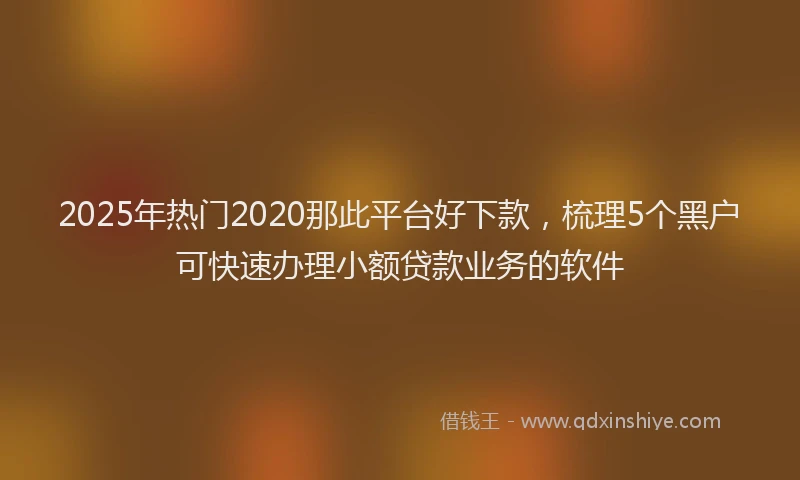2025年热门2020那此平台好下款，梳理5个黑户可快速办理小额贷款业务的软件