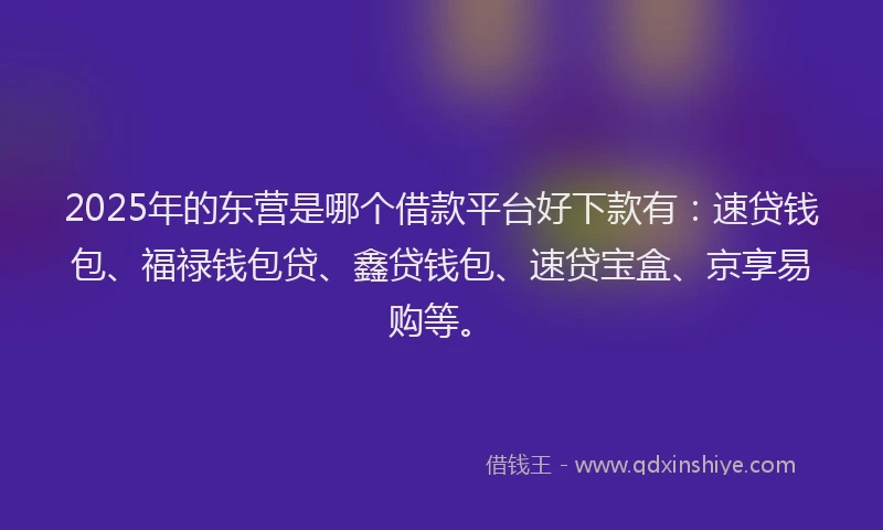 2025年的东营是哪个借款平台好下款有：速贷钱包、福禄钱包贷、鑫贷钱包、速贷宝盒、京享易购等。