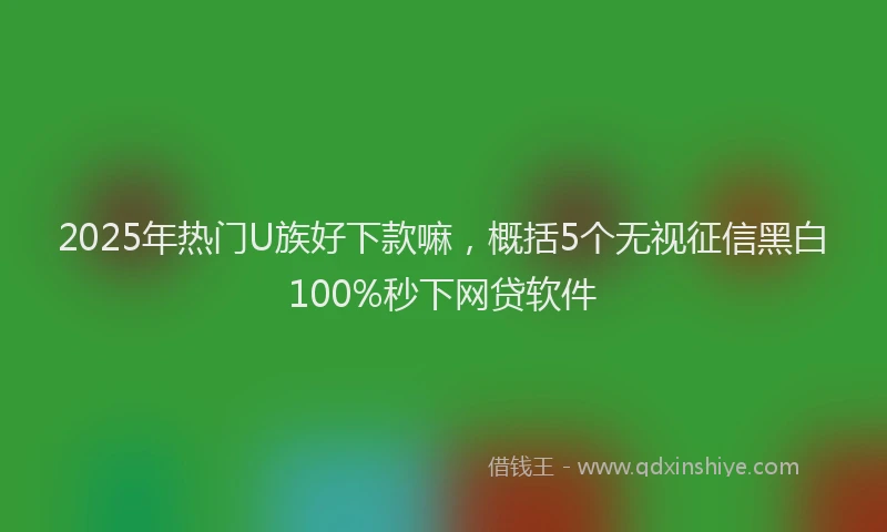 2025年热门U族好下款嘛，概括5个无视征信黑白100%秒下网贷软件