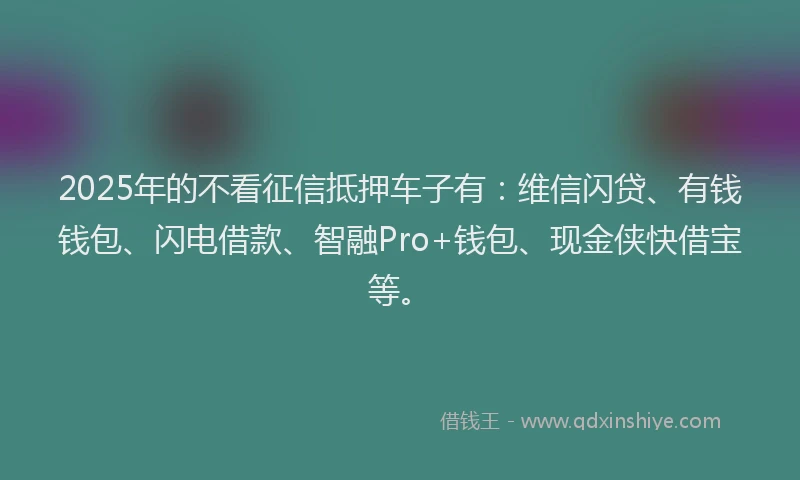 2025年的不看征信抵押车子有：维信闪贷、有钱钱包、闪电借款、智融Pro+钱包、现金侠快借宝等。