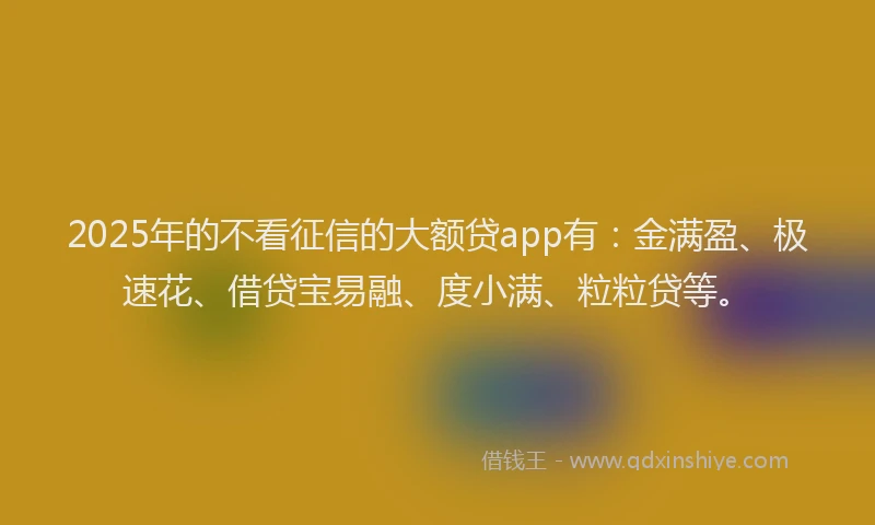 2025年的不看征信的大额贷app有：金满盈、极速花、借贷宝易融、度小满、粒粒贷等。