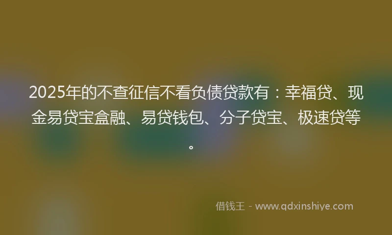 2025年的不查征信不看负债贷款有：幸福贷、现金易贷宝盒融、易贷钱包、分子贷宝、极速贷等。