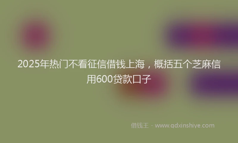 2025年热门不看征信借钱上海，概括五个芝麻信用600贷款口子