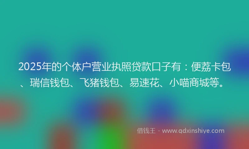 2025年的个体户营业执照贷款口子有：便荔卡包、瑞信钱包、飞猪钱包、易速花、小喵商城等。