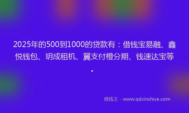 2025年的500到1000的贷款有：借钱宝易融、鑫悦钱包、玥成租机、翼支付橙分期、钱速达宝等。
