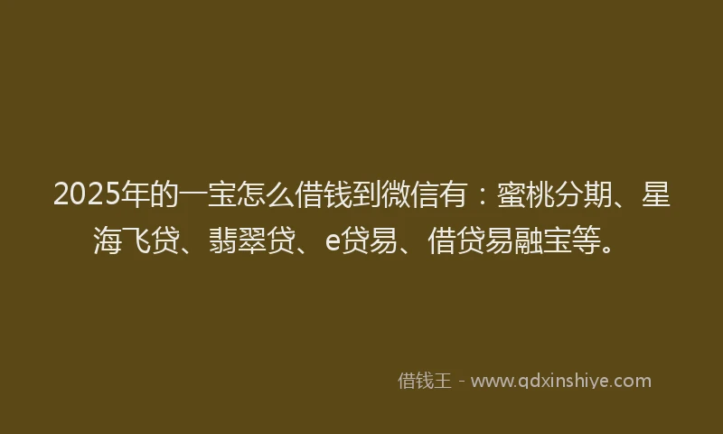 2025年的一宝怎么借钱到微信有：蜜桃分期、星海飞贷、翡翠贷、e贷易、借贷易融宝等。