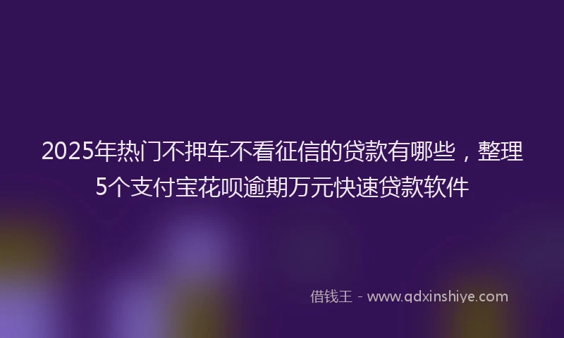 2025年热门不押车不看征信的贷款有哪些，整理5个支付宝花呗逾期万元快速贷款软件