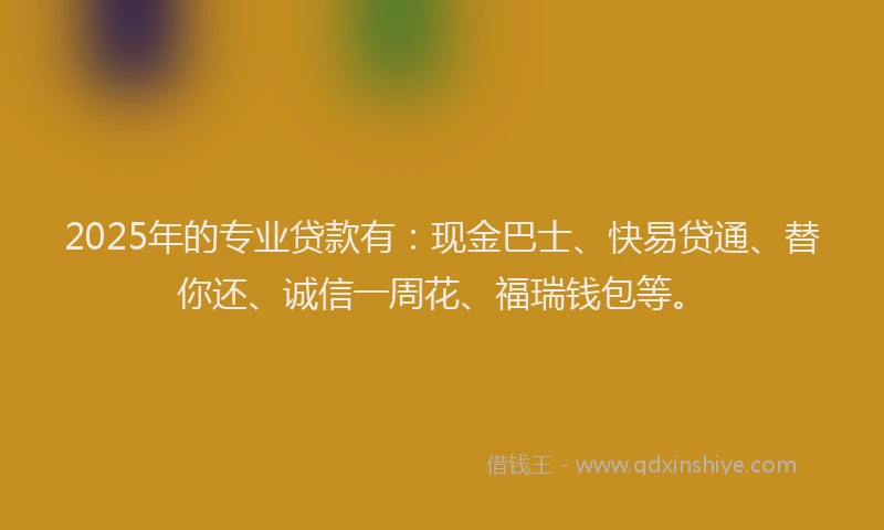 2025年的专业贷款有：现金巴士、快易贷通、替你还、诚信一周花、福瑞钱包等。