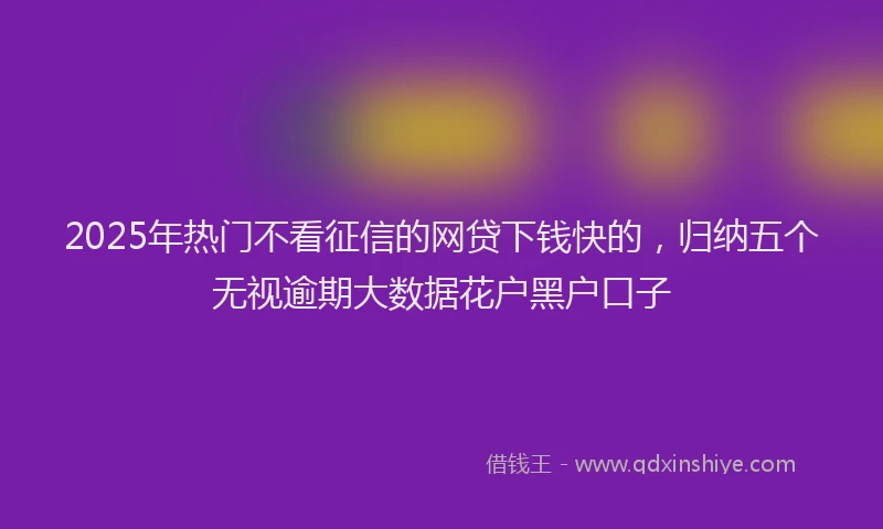 2025年热门不看征信的网贷下钱快的，归纳五个无视逾期大数据花户黑户口子