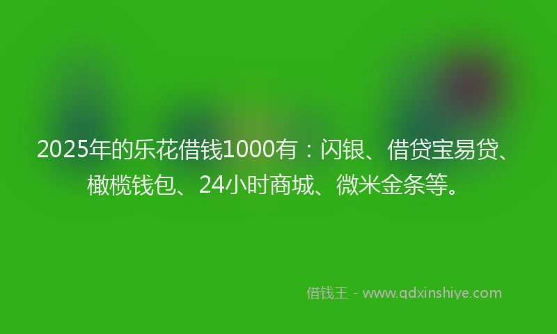2025年的乐花借钱1000有：闪银、借贷宝易贷、橄榄钱包、24小时商城、微米金条等。