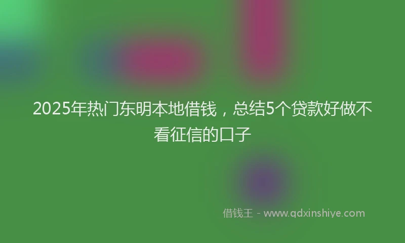 2025年热门东明本地借钱，总结5个贷款好做不看征信的口子