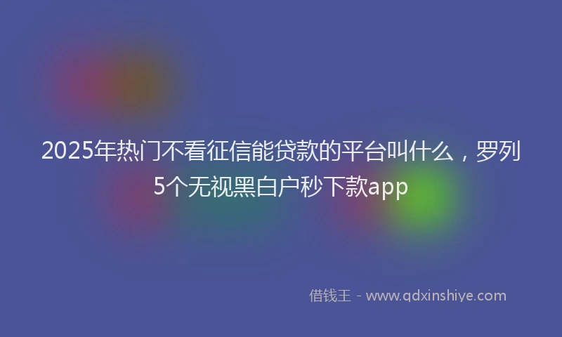 2025年热门不看征信能贷款的平台叫什么，罗列5个无视黑白户秒下款app