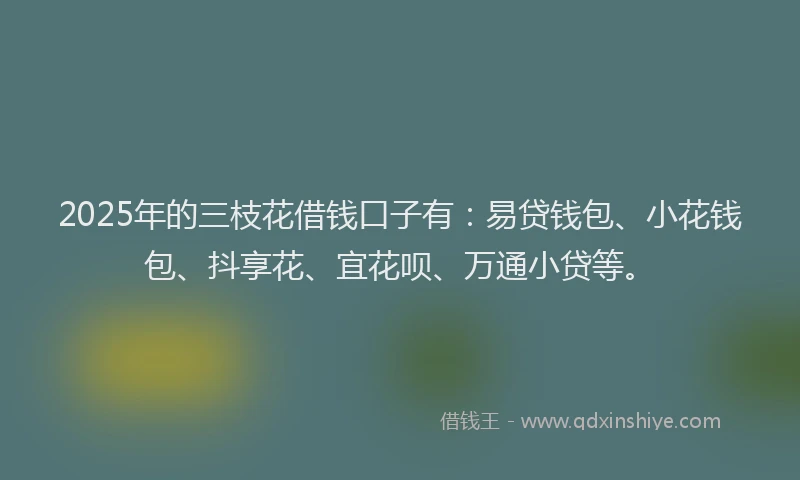 2025年的三枝花借钱口子有：易贷钱包、小花钱包、抖享花、宜花呗、万通小贷等。
