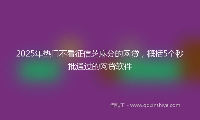 2025年热门不看征信芝麻分的网贷，概括5个秒批通过的网贷软件