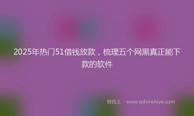 2025年热门51借钱放款，梳理五个网黑真正能下款的软件