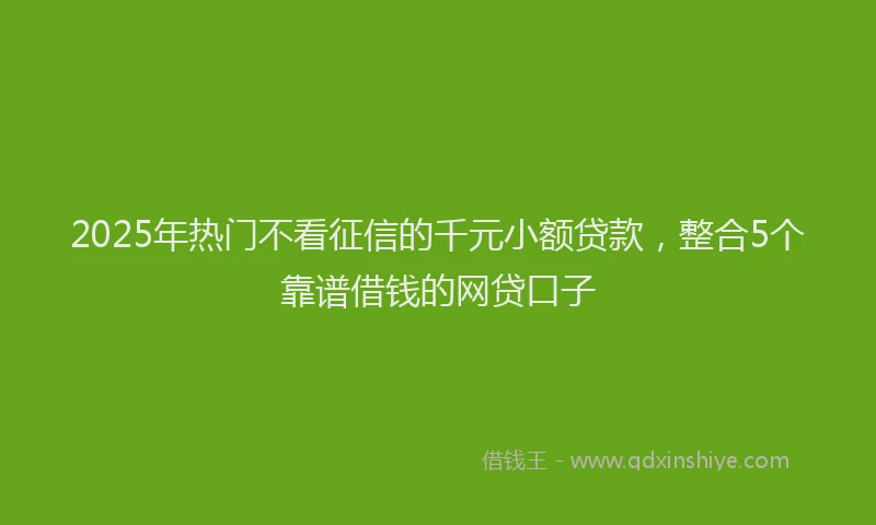 2025年热门不看征信的千元小额贷款，整合5个靠谱借钱的网贷口子