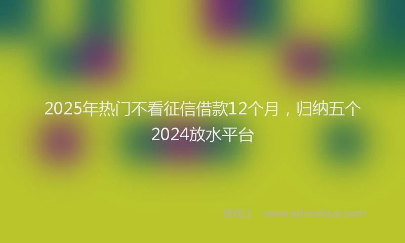 2025年热门不看征信借款12个月，归纳五个2024放水平台