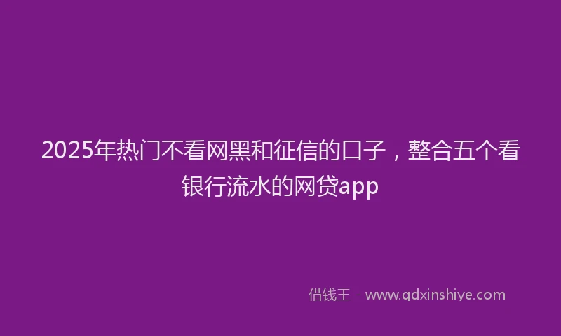 2025年热门不看网黑和征信的口子，整合五个看银行流水的网贷app
