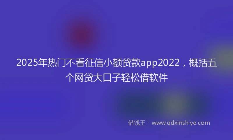 2025年热门不看征信小额贷款app2022，概括五个网贷大口子轻松借软件