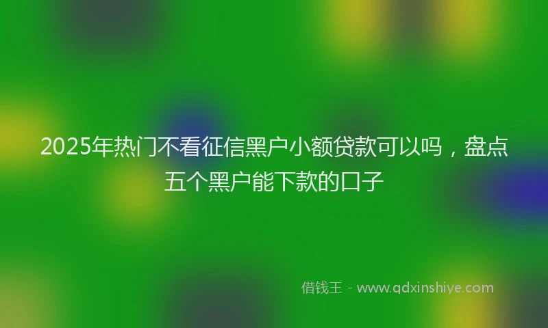 2025年热门不看征信黑户小额贷款可以吗，盘点五个黑户能下款的口子
