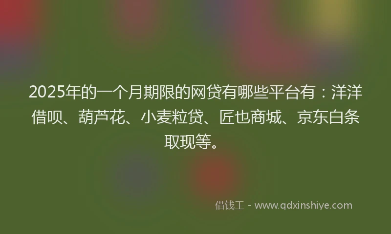 2025年的一个月期限的网贷有哪些平台有：洋洋借呗、葫芦花、小麦粒贷、匠也商城、京东白条取现等。