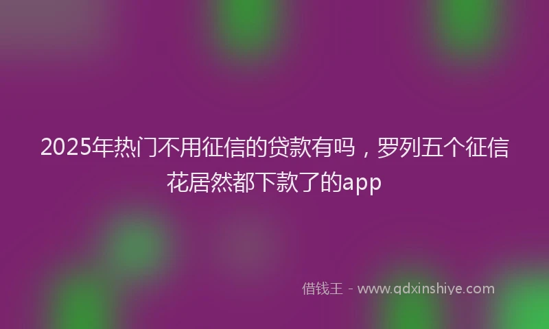 2025年热门不用征信的贷款有吗，罗列五个征信花居然都下款了的app