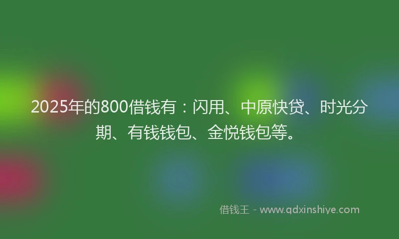 2025年的800借钱有：闪用、中原快贷、时光分期、有钱钱包、金悦钱包等。