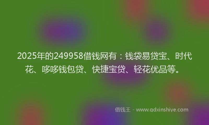 2025年的249958借钱网有：钱袋易贷宝、时代花、哆哆钱包贷、快捷宝贷、轻花优品等。