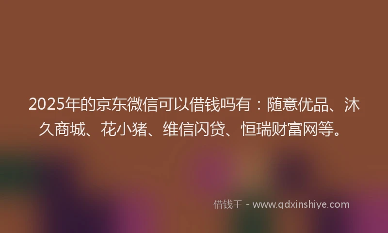 2025年的京东微信可以借钱吗有：随意优品、沐久商城、花小猪、维信闪贷、恒瑞财富网等。