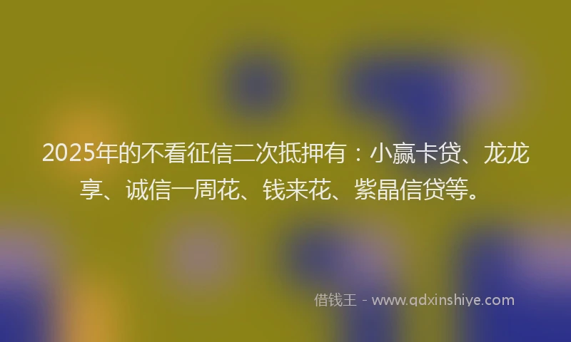 2025年的不看征信二次抵押有：小赢卡贷、龙龙享、诚信一周花、钱来花、紫晶信贷等。