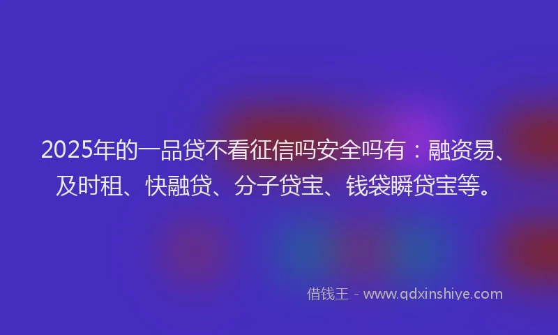 2025年的一品贷不看征信吗安全吗有：融资易、及时租、快融贷、分子贷宝、钱袋瞬贷宝等。