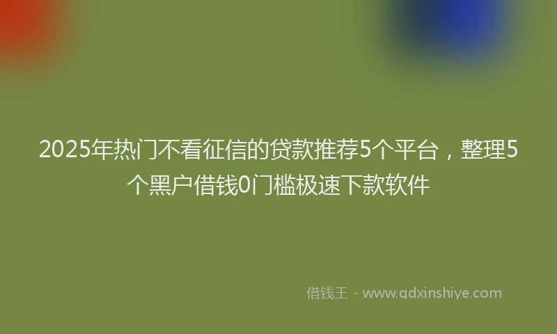 2025年热门不看征信的贷款推荐5个平台，整理5个黑户借钱0门槛极速下款软件