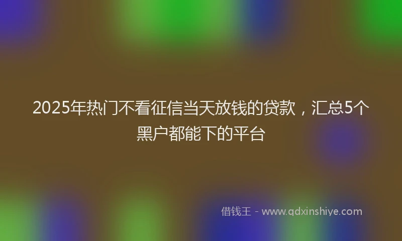 2025年热门不看征信当天放钱的贷款，汇总5个黑户都能下的平台