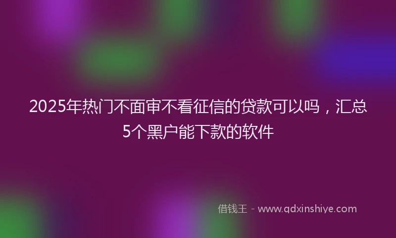 2025年热门不面审不看征信的贷款可以吗，汇总5个黑户能下款的软件