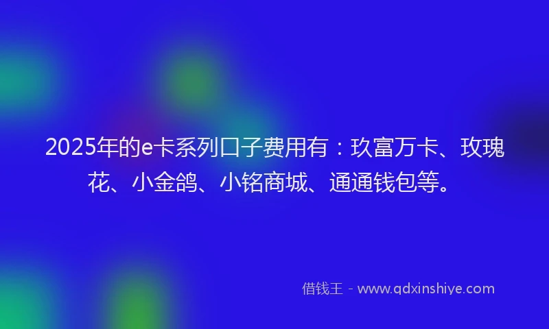 2025年的e卡系列口子费用有：玖富万卡、玫瑰花、小金鸽、小铭商城、通通钱包等。