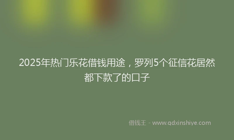 2025年热门乐花借钱用途，罗列5个征信花居然都下款了的口子