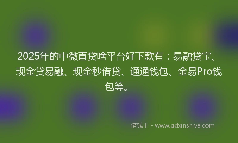 2025年的中微直贷啥平台好下款有:易融贷宝、现金贷易融、现金秒借贷、通通钱包、金易Pro钱包等。
