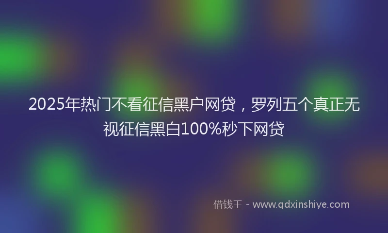 2025年热门不看征信黑户网贷，罗列五个真正无视征信黑白100%秒下网贷
