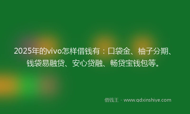 2025年的vivo怎样借钱有：口袋金、柚子分期、钱袋易融贷、安心贷融、畅贷宝钱包等。