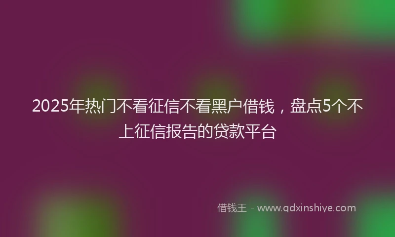 2025年热门不看征信不看黑户借钱，盘点5个不上征信报告的贷款平台