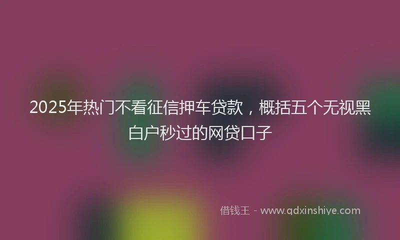 2025年热门不看征信押车贷款，概括五个无视黑白户秒过的网贷口子
