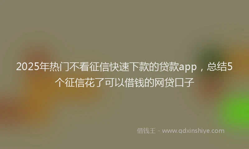 2025年热门不看征信快速下款的贷款app，总结5个征信花了可以借钱的网贷口子