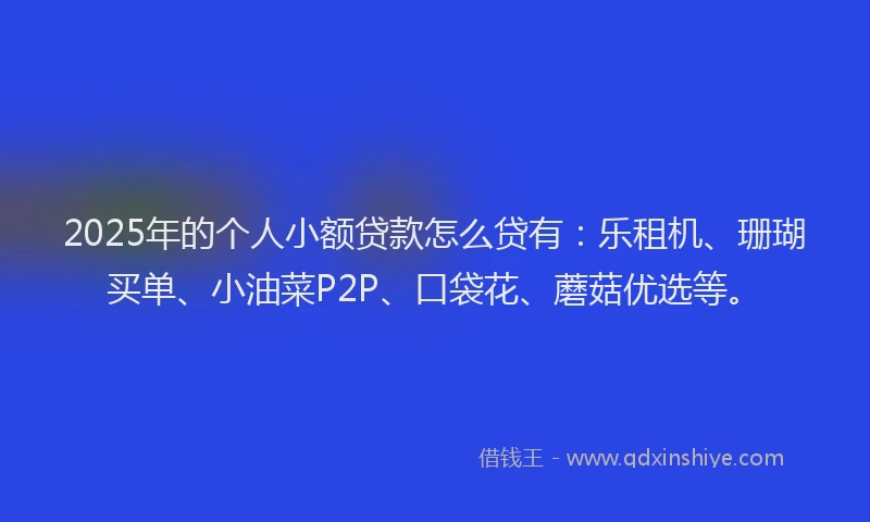 2025年的个人小额贷款怎么贷有：乐租机、珊瑚买单、小油菜P2P、口袋花、蘑菇优选等。