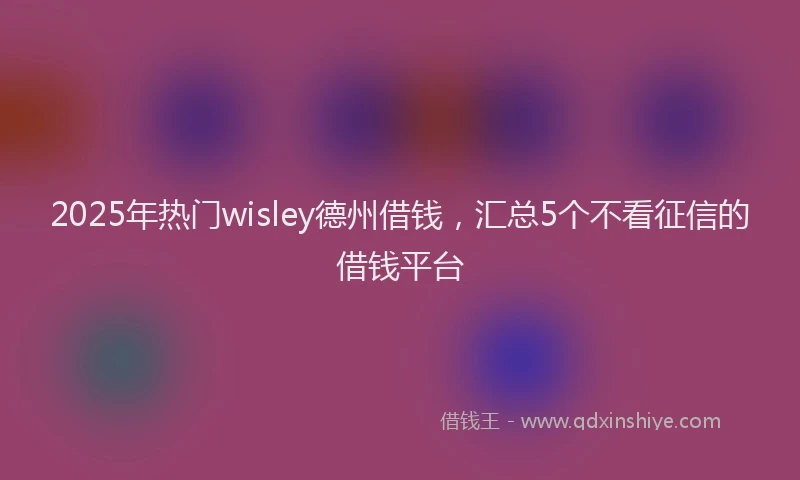 2025年热门wisley德州借钱，汇总5个不看征信的借钱平台