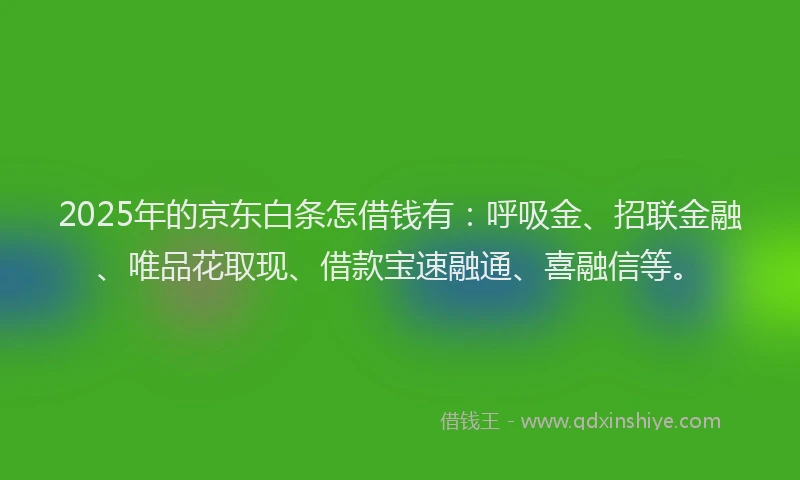 2025年的京东白条怎借钱有:呼吸金、招联金融、唯品花取现、借款宝速融通、喜融信等。
