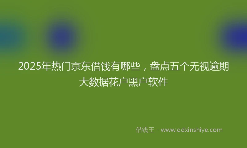 2025年热门京东借钱有哪些，盘点五个无视逾期大数据花户黑户软件