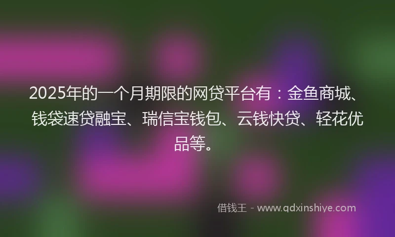 2025年的一个月期限的网贷平台有：金鱼商城、钱袋速贷融宝、瑞信宝钱包、云钱快贷、轻花优品等。