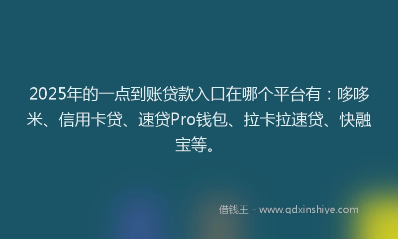2025年的一点到账贷款入口在哪个平台有：哆哆米、信用卡贷、速贷Pro钱包、拉卡拉速贷、快融宝等。