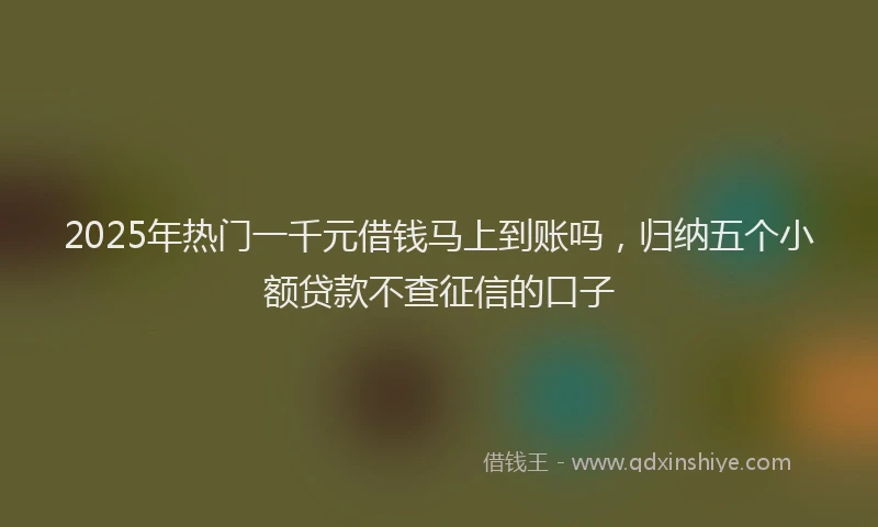 2025年热门一千元借钱马上到账吗，归纳五个小额贷款不查征信的口子