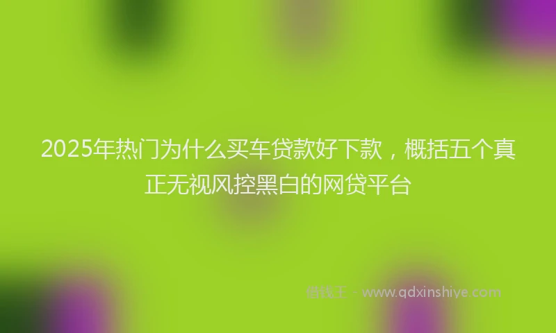 2025年热门为什么买车贷款好下款，概括五个真正无视风控黑白的网贷平台
